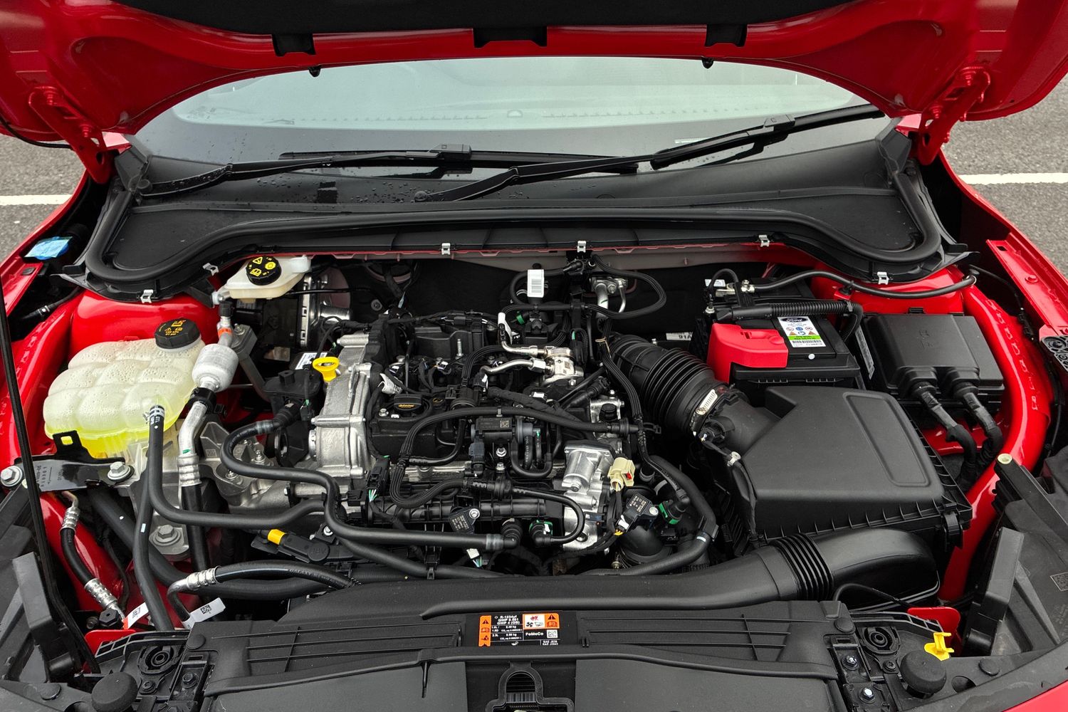 Used Ford Focus 2025 for sale - 77118449: Photo 19