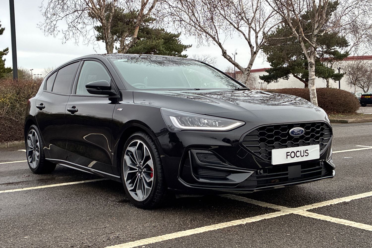 Used Ford Focus 2025 for sale - 77659236: Photo 14