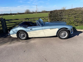 Used Austin Healey 2017 for sale - 77896583: Photo