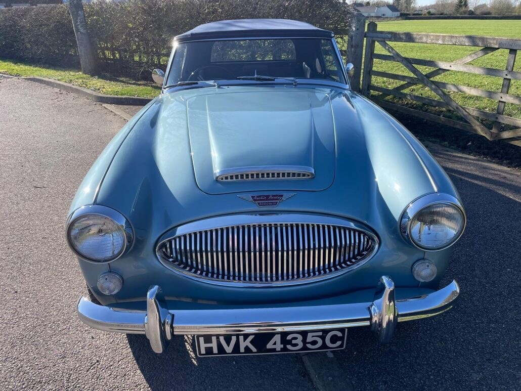 Used Austin Healey 2017 for sale - 77896583: Photo 9