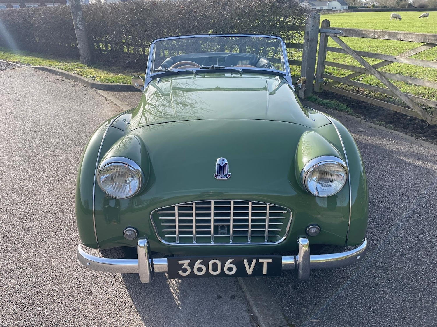 Used Triumph TR3 1957 for sale - 77707512: Photo 2