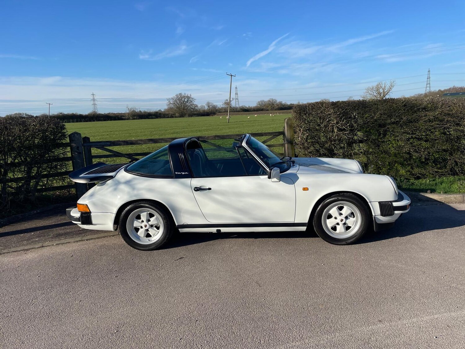 Used Porsche 911 for sale - 77768623: Photo 10