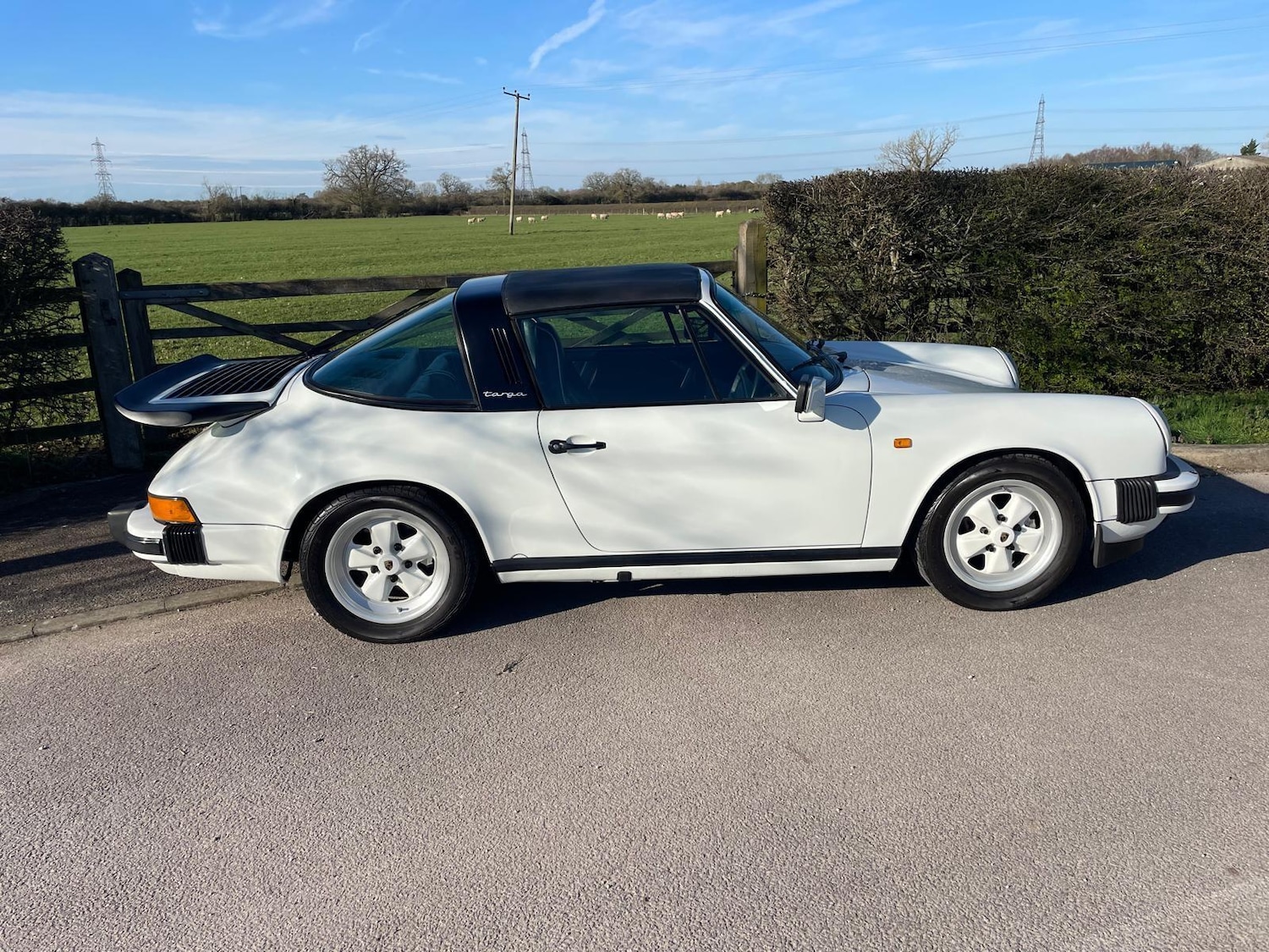 Used Porsche 911 for sale - 77768623: Photo 4