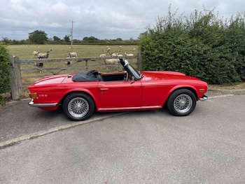 Used Triumph TR6 1969 for sale - 77519975: Photo