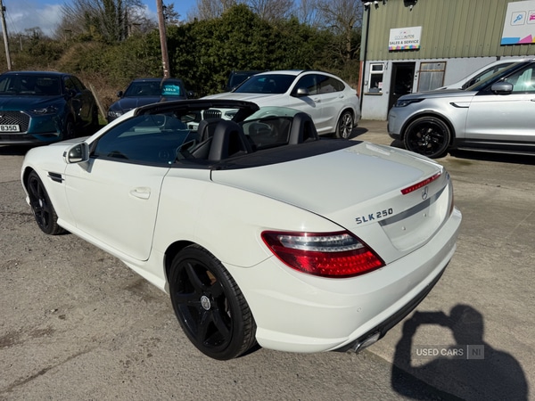 Used Mercedes-Benz SLK 2013 for sale - 77893484: Photo 3