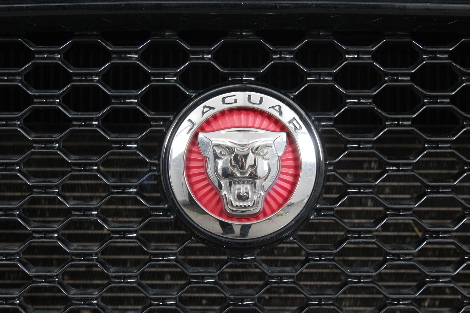 Used Jaguar F-Pace 2020 for sale - 76989380: Photo 76