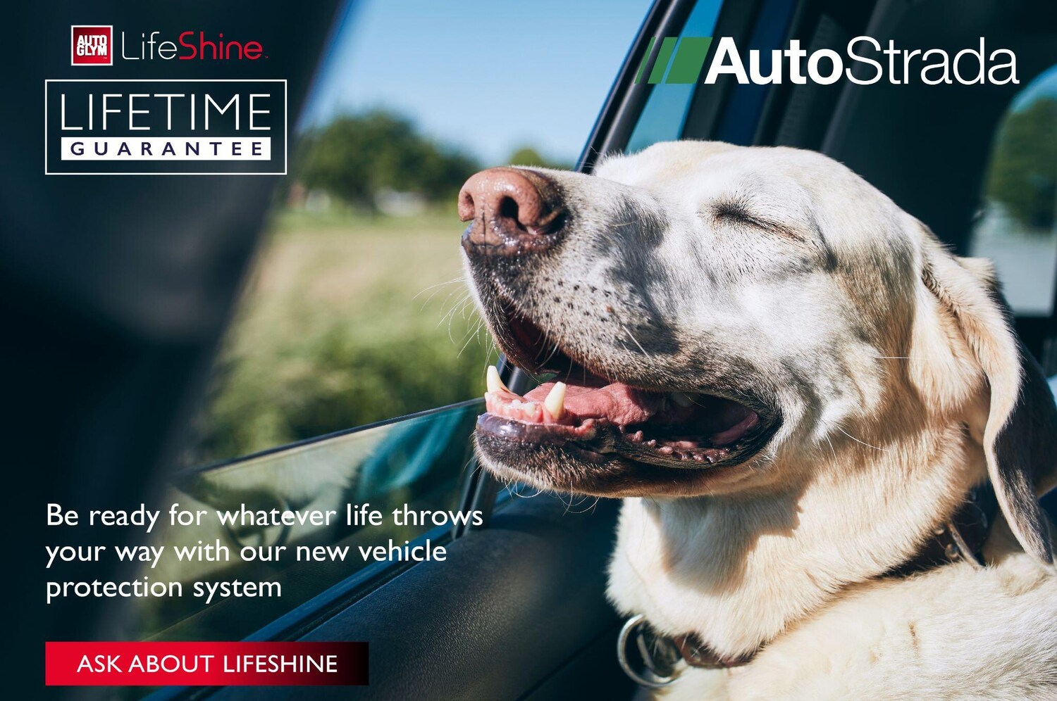 Used Volkswagen Golf 2018 for sale - 77574362: Photo 7