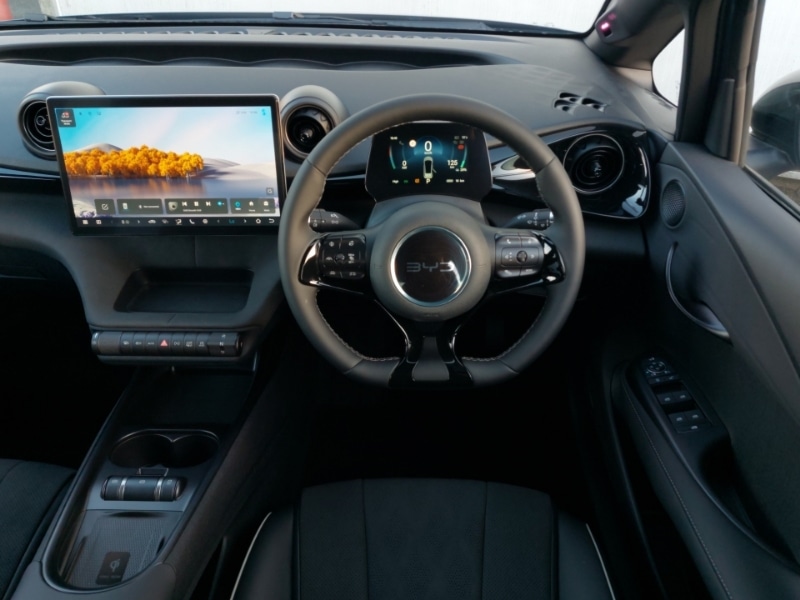 Used BYD Dolphin 2026 for sale - 77956828: Photo 11