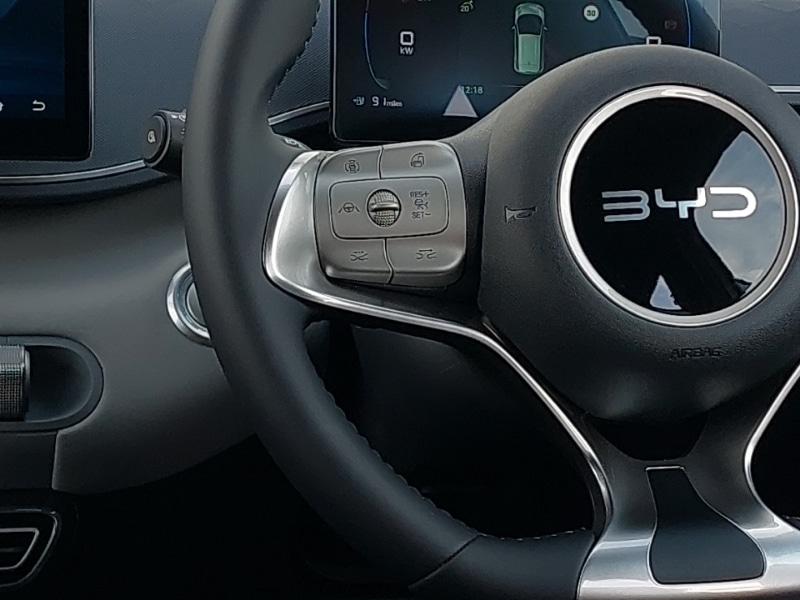 Used BYD Dolphin 2025 for sale - 76471688: Photo 10