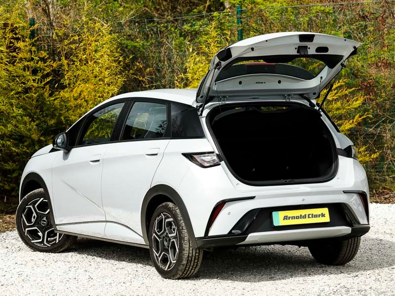 Used BYD Dolphin 2026 for sale - 77999537: Photo 18