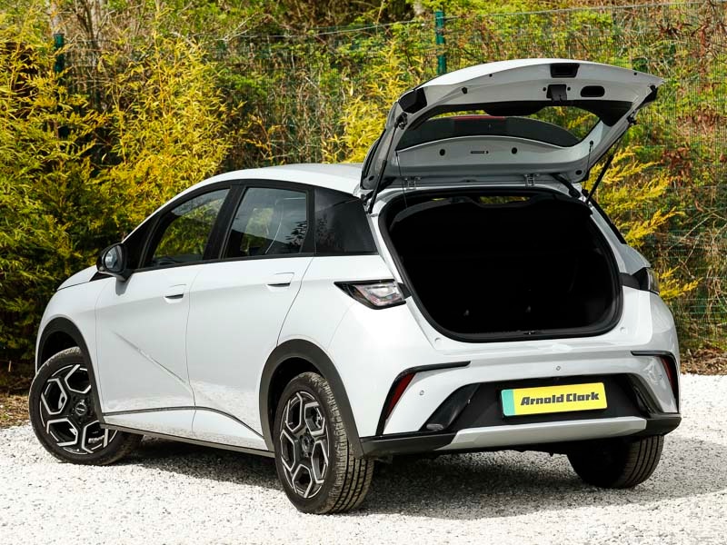 Used BYD Dolphin 2025 for sale - 76455927: Photo 18