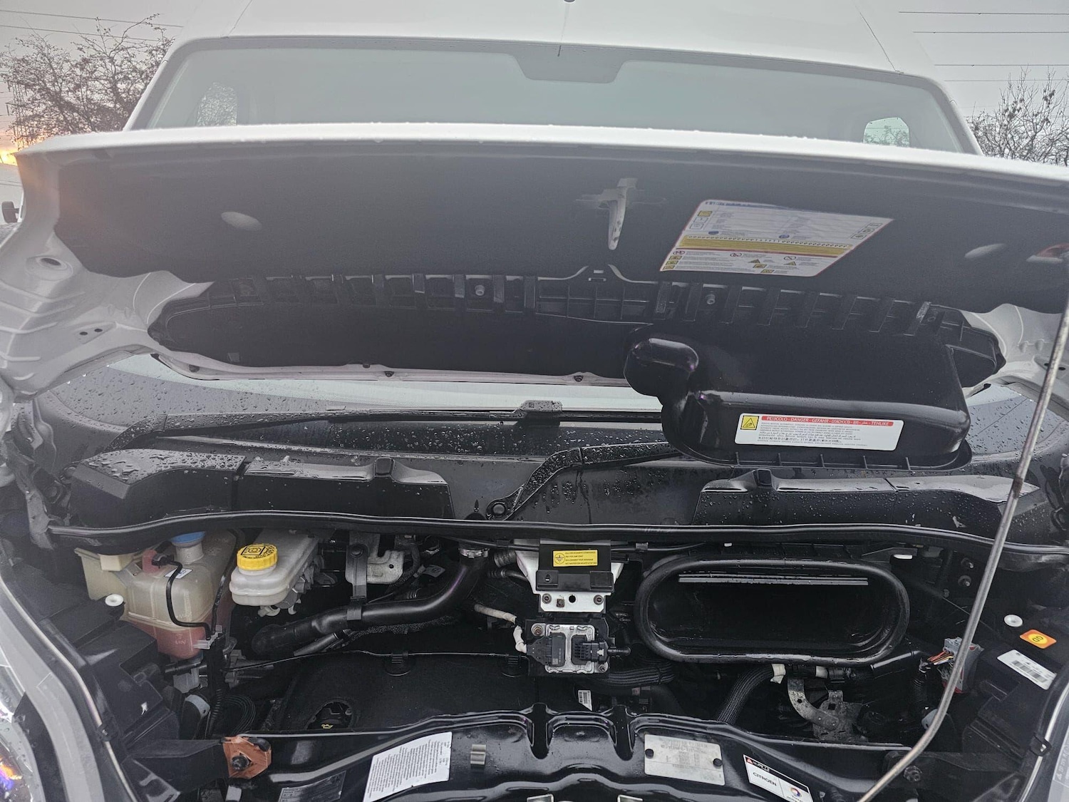 Used Citroen Relay 2021 for sale - 77006488: Photo 18