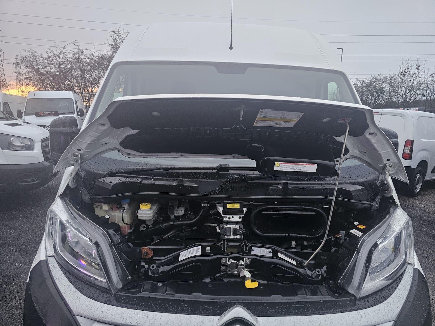 Used Citroen Relay 2021 for sale - 77006488: Photo 19