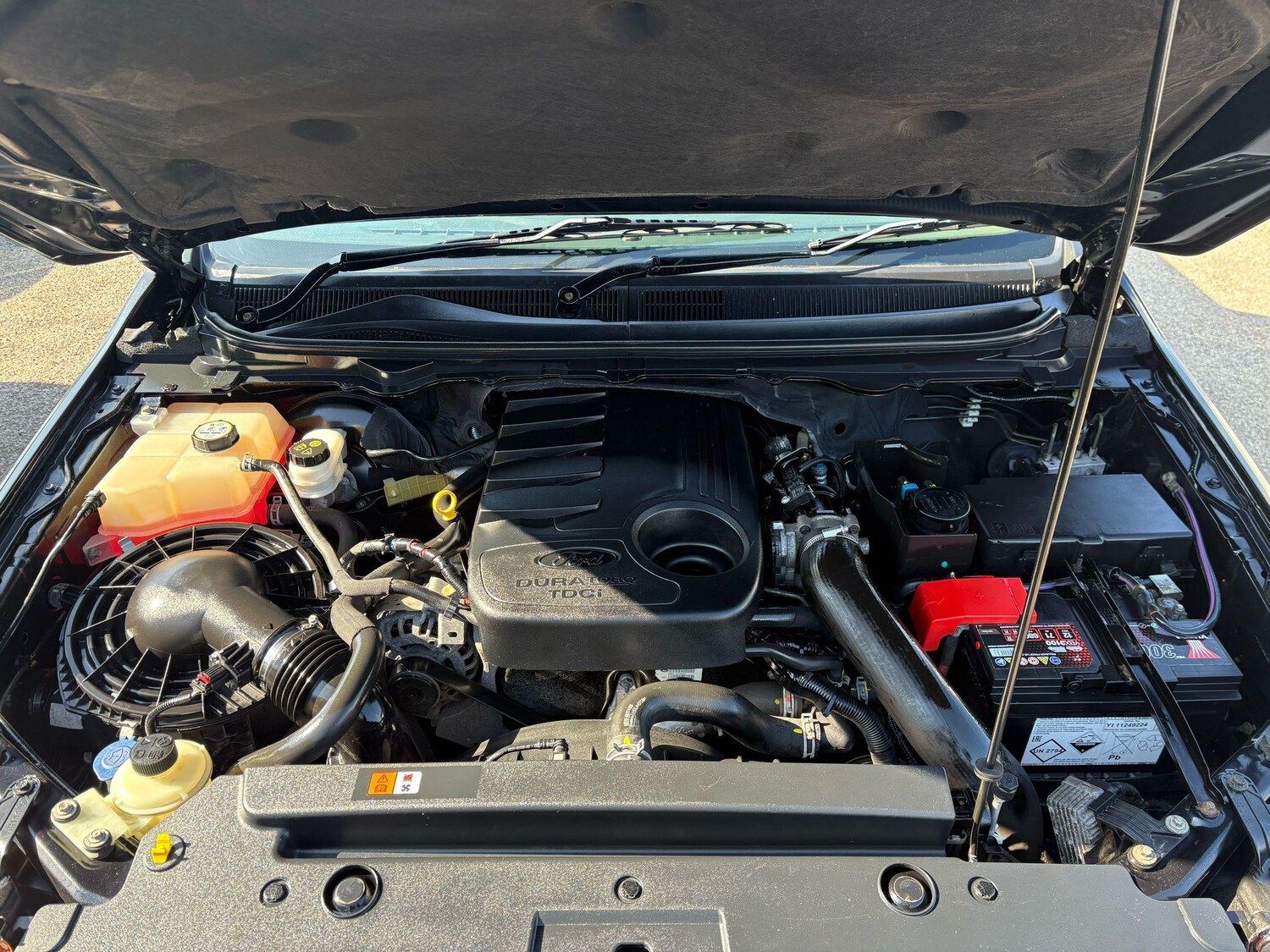 Used Ford Ranger 2015 for sale - 77006440: Photo 28