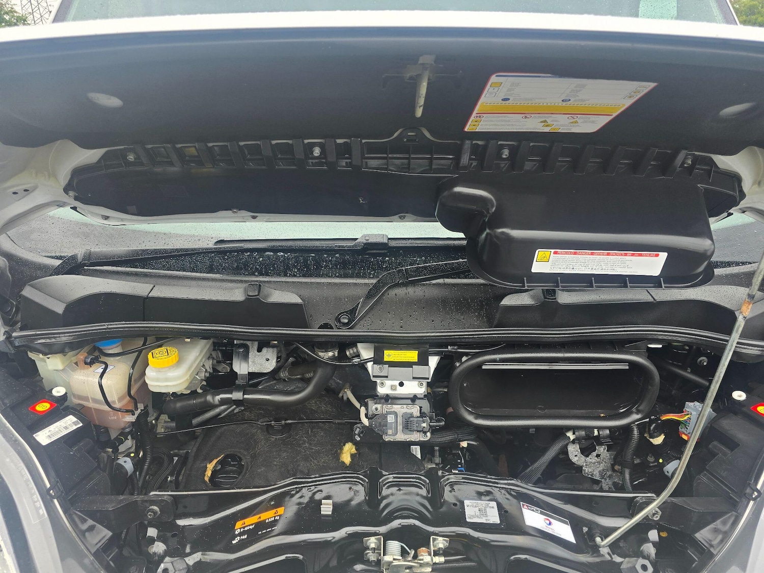 Used Citroen Relay 2023 for sale - 77006424: Photo 29