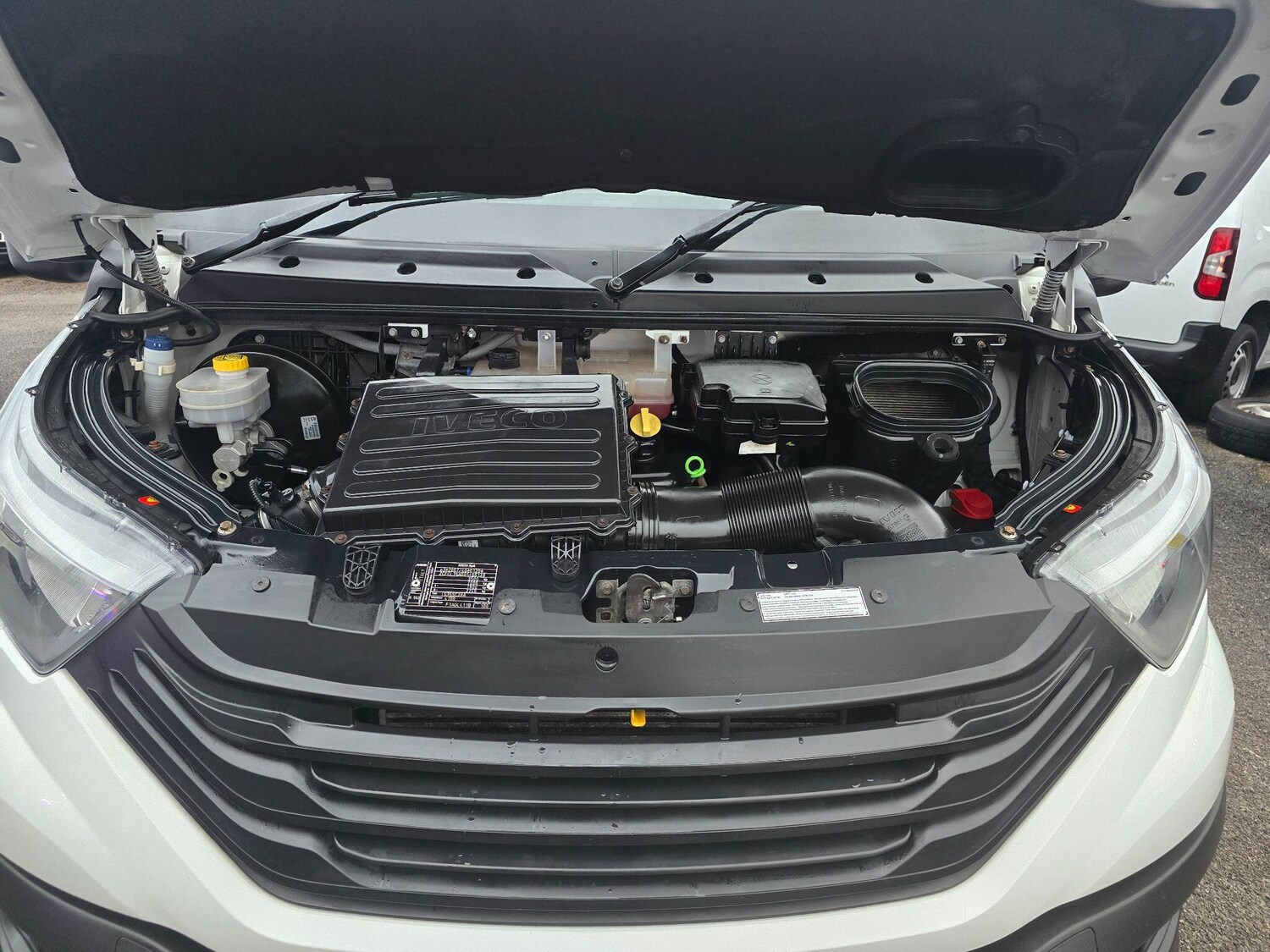 Used Iveco Daily 2022 for sale - 77006482: Photo 33