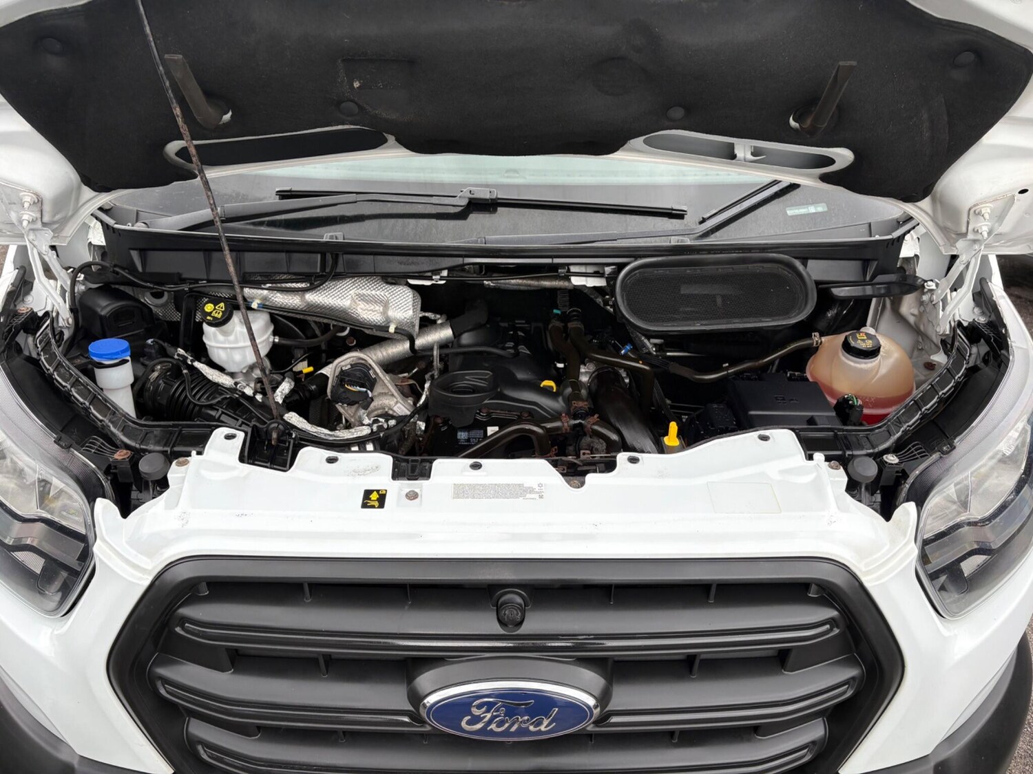 Used Ford Transit 2020 for sale - 78122252: Photo 31