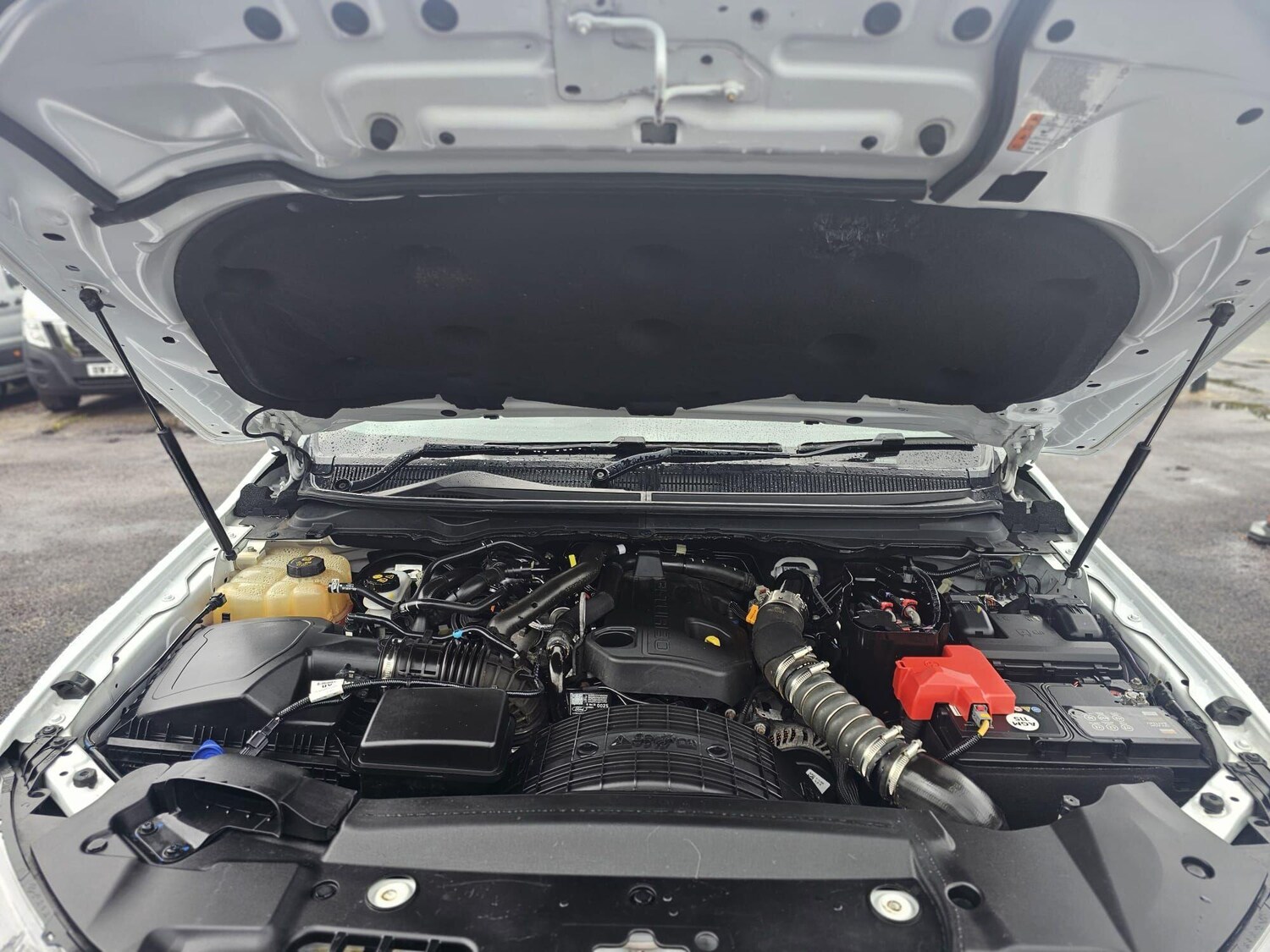 Used Ford Ranger 2021 for sale - 77006465: Photo 30