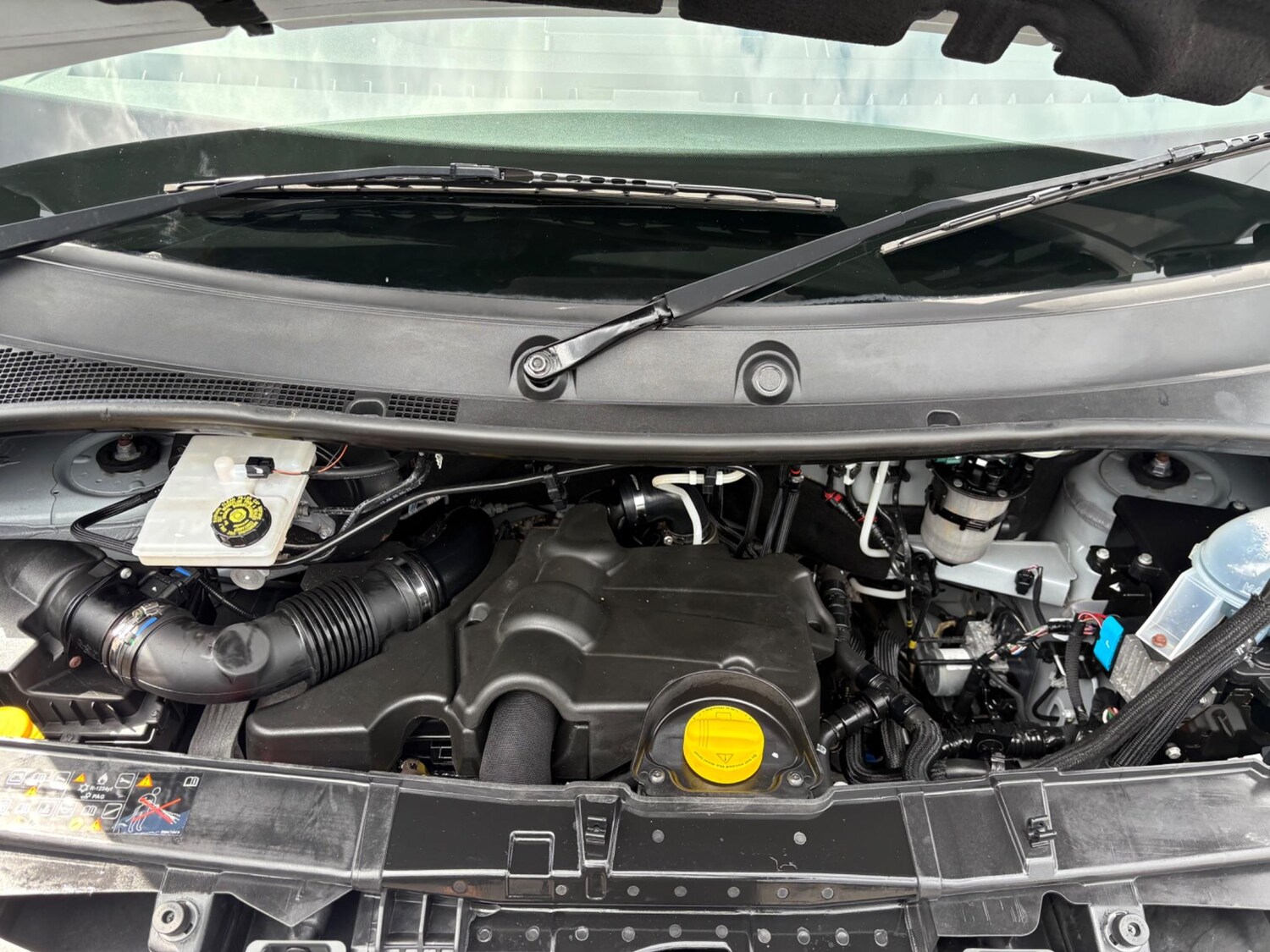 Used Nissan Interstar 2023 for sale - 77006449: Photo 34