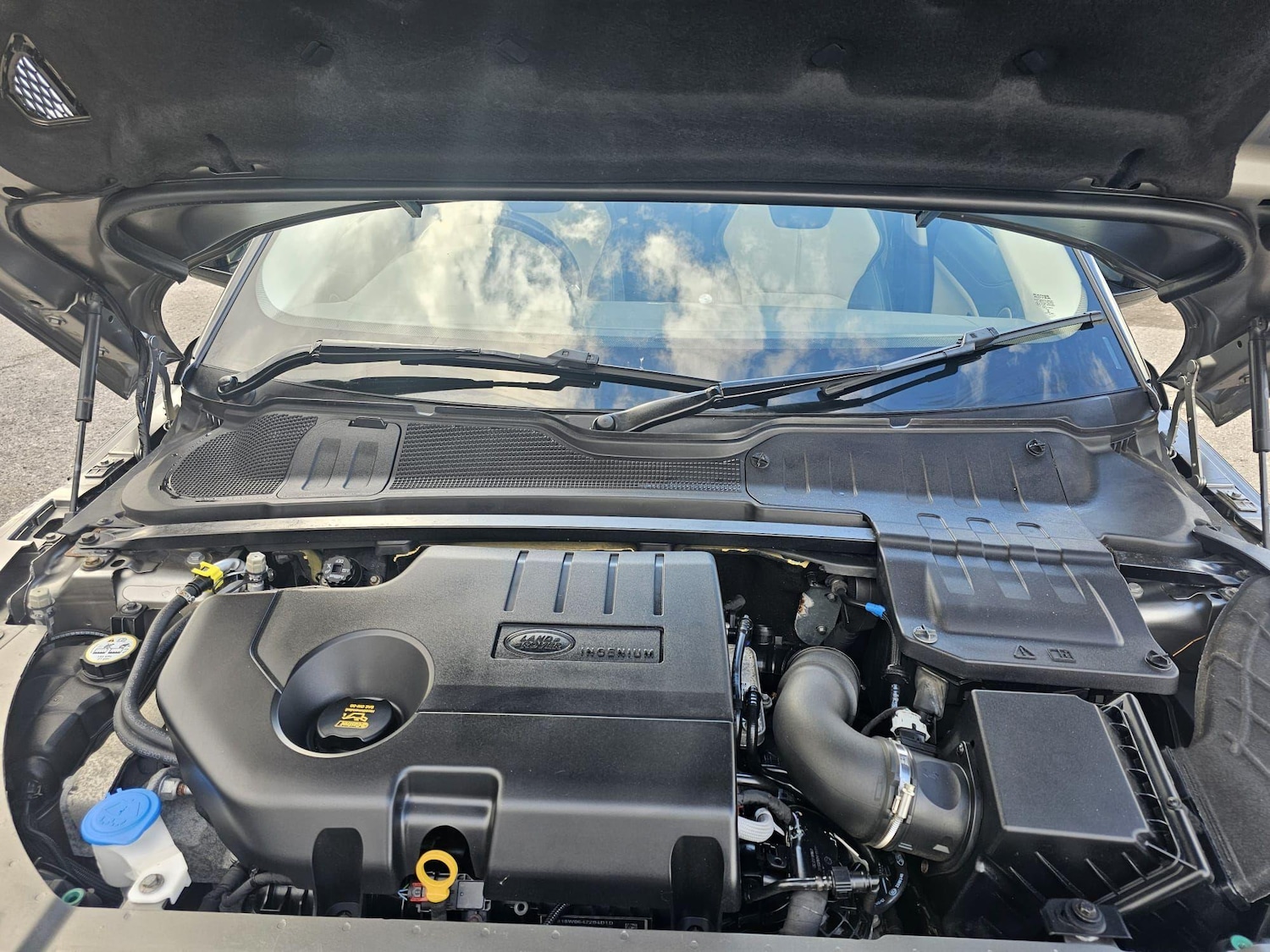 Used Land Rover Range Rover Evoque 2016 for sale - 77006477: Photo 35