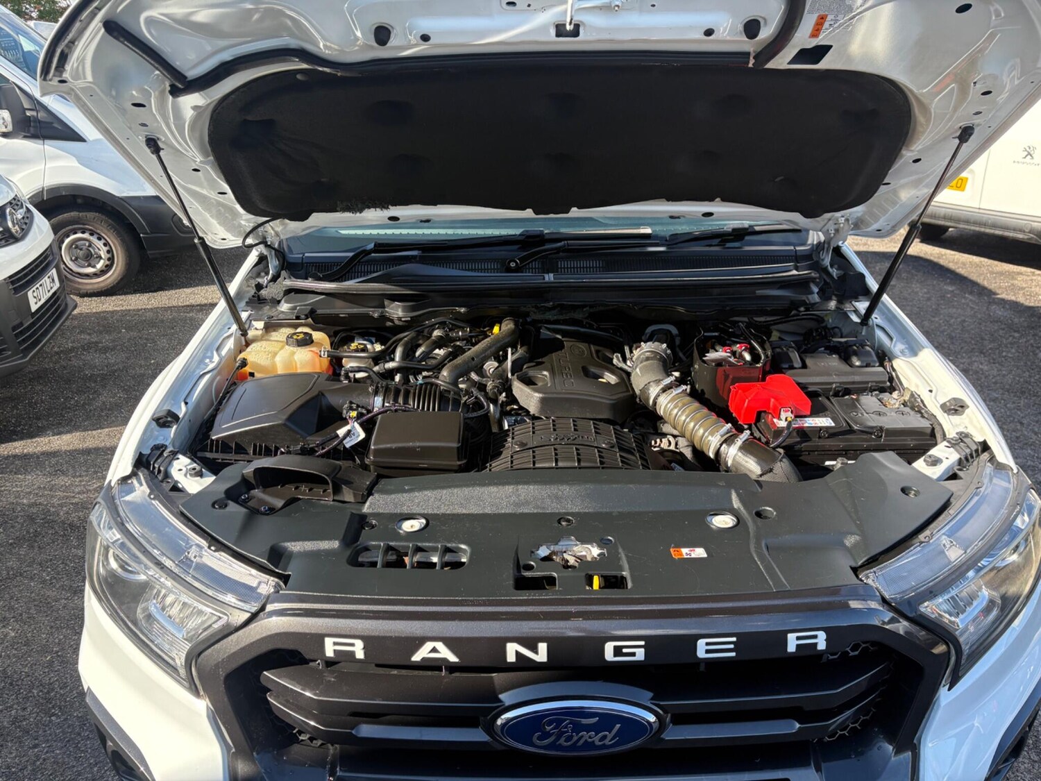 Used Ford Ranger 2019 for sale - 77006430: Photo 33