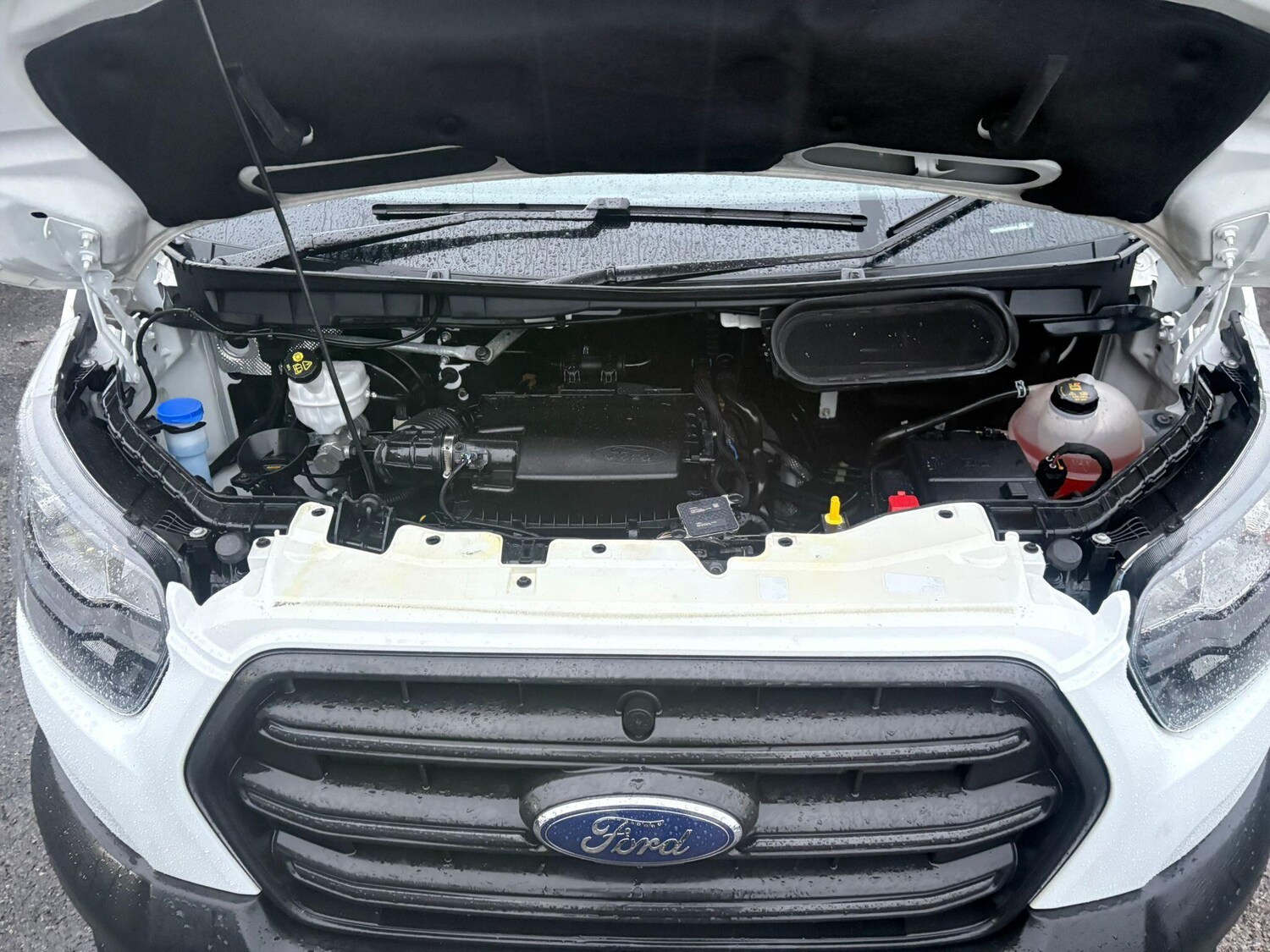 Used Ford Transit 2021 for sale - 77006473: Photo 29