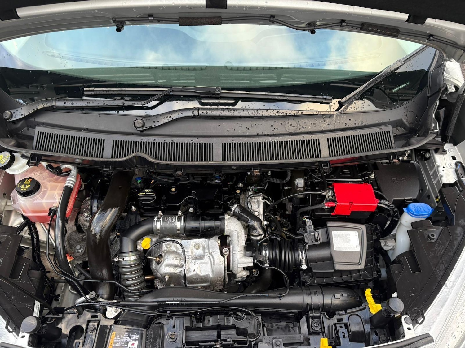 Used Ford Transit Courier 2022 for sale - 77006484: Photo 30