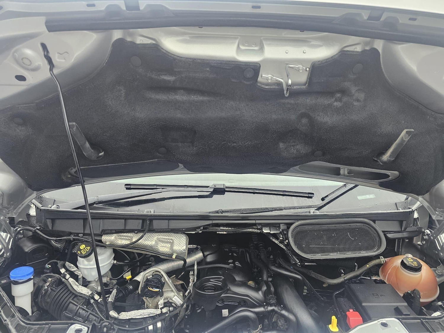 Used Ford Transit 2020 for sale - 77614634: Photo 25