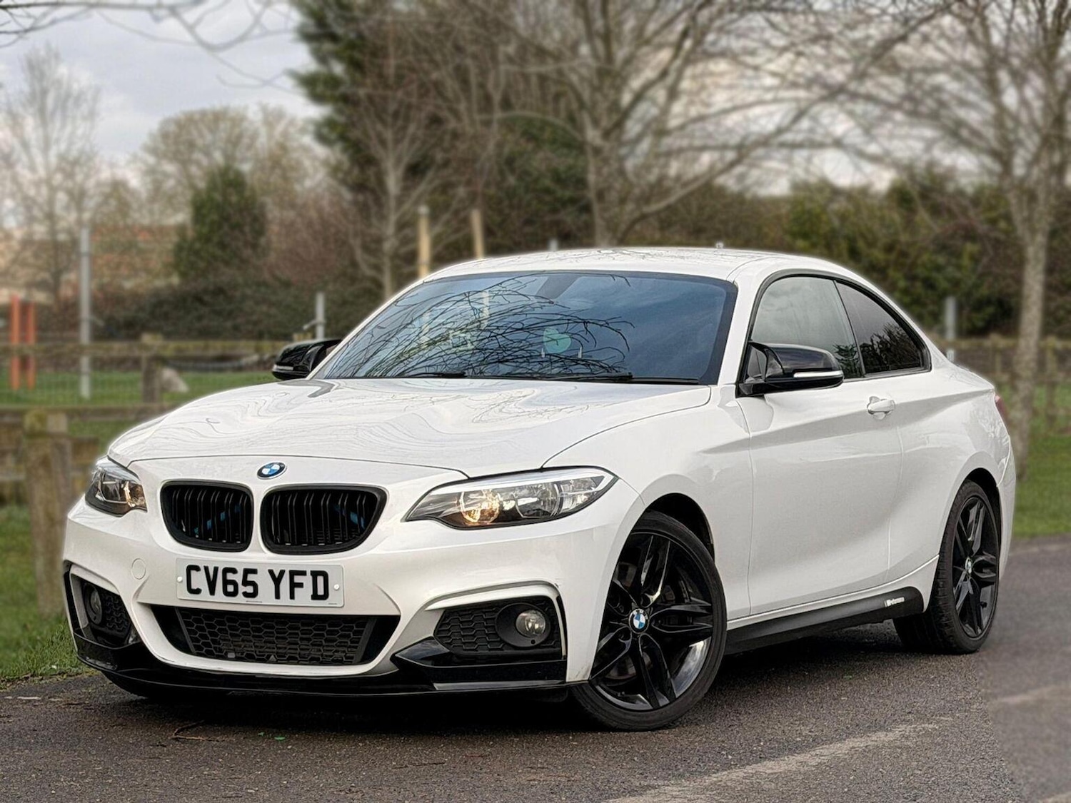 Used BMW 2 Series 2015 for sale - 77539197: Photo 5