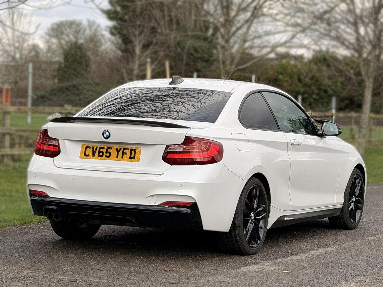 Used BMW 2 Series 2015 for sale - 77539197: Photo 9