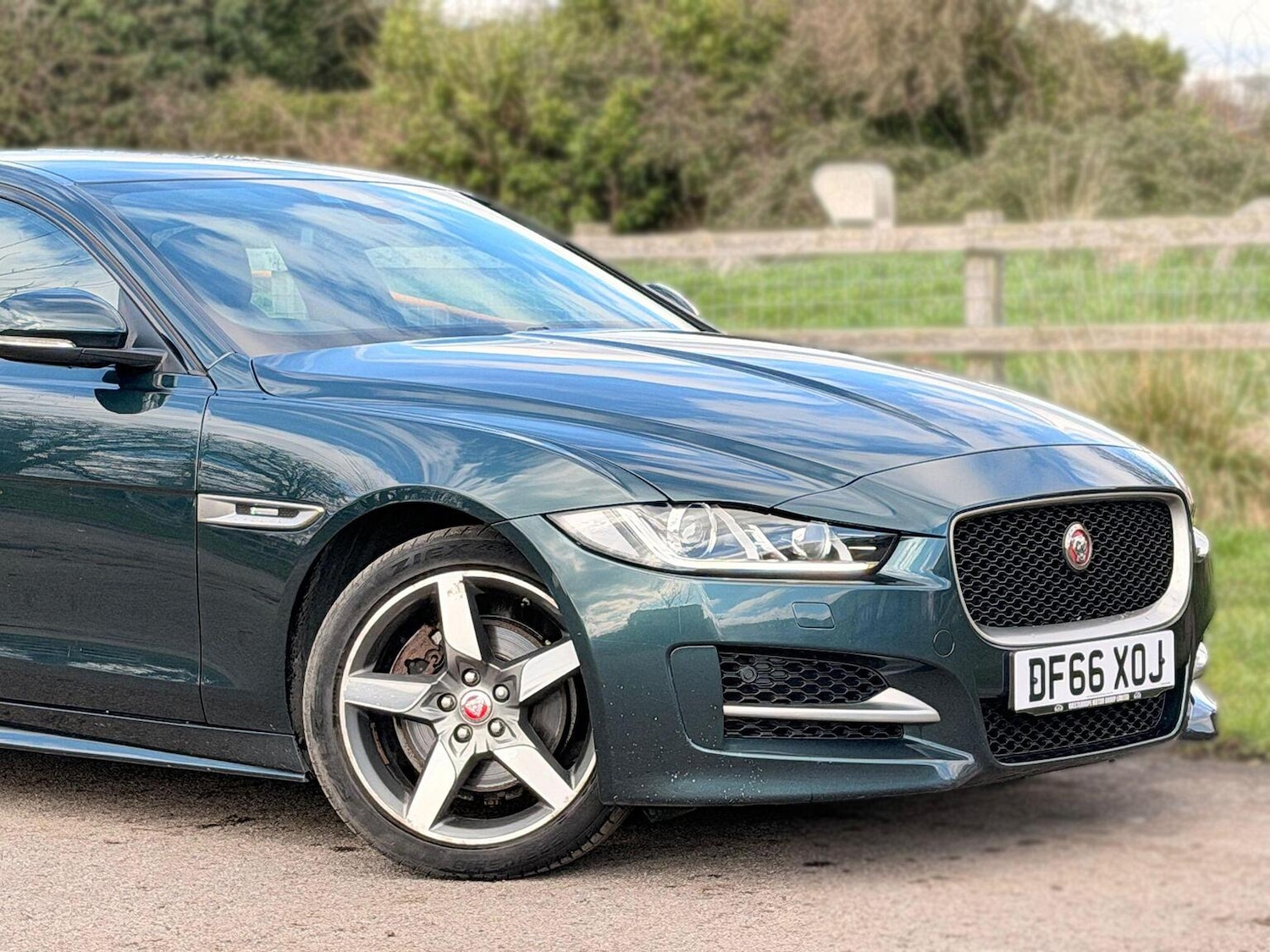 Used Jaguar XE 2017 for sale - 77650050: Photo 13