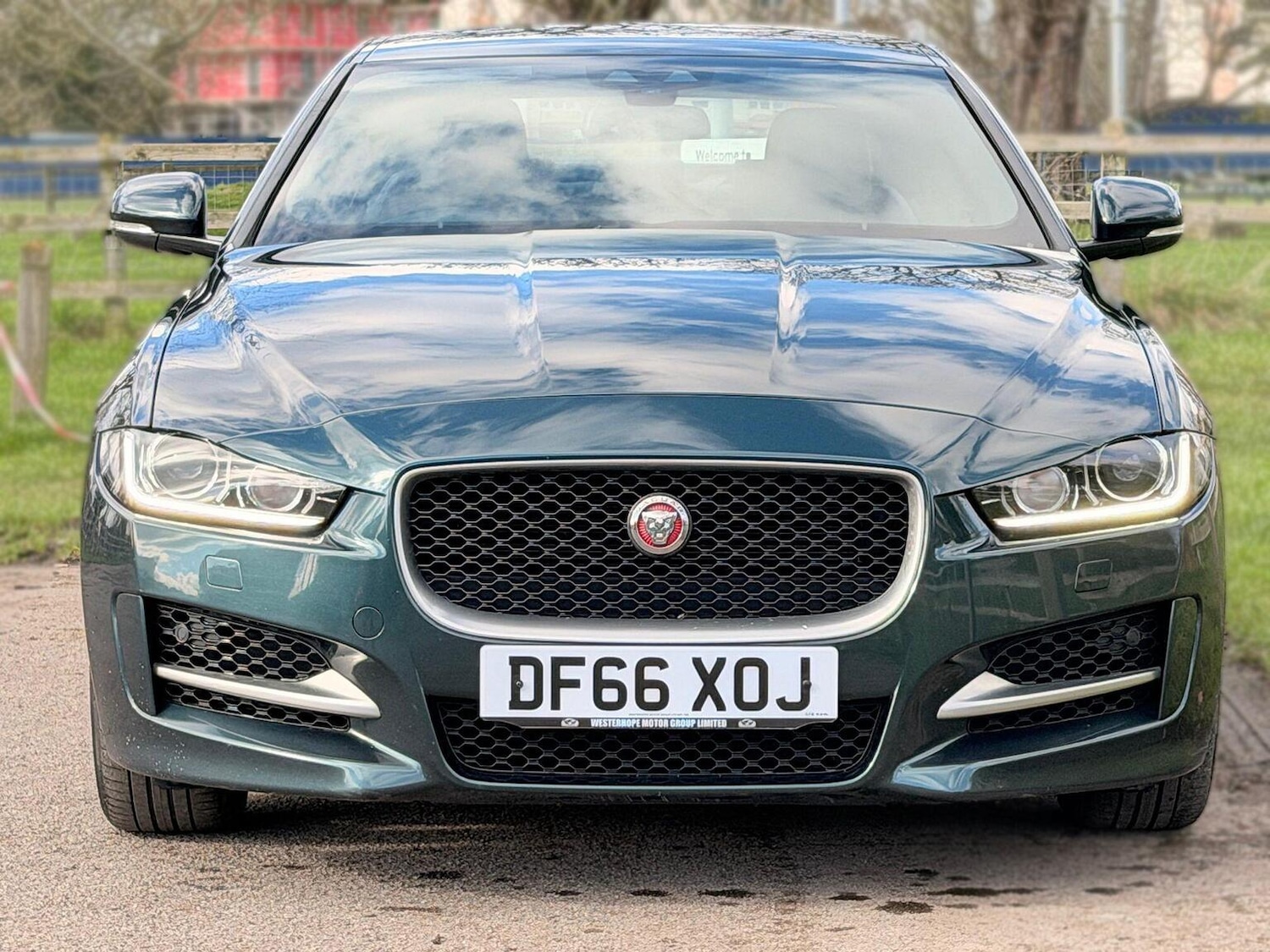 Used Jaguar XE 2017 for sale - 77650050: Photo 3