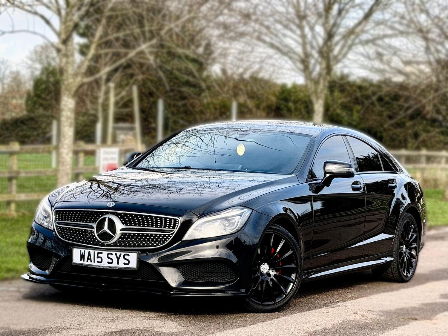 Used Mercedes-Benz CLS 2015 for sale - 77656249: Photo 5