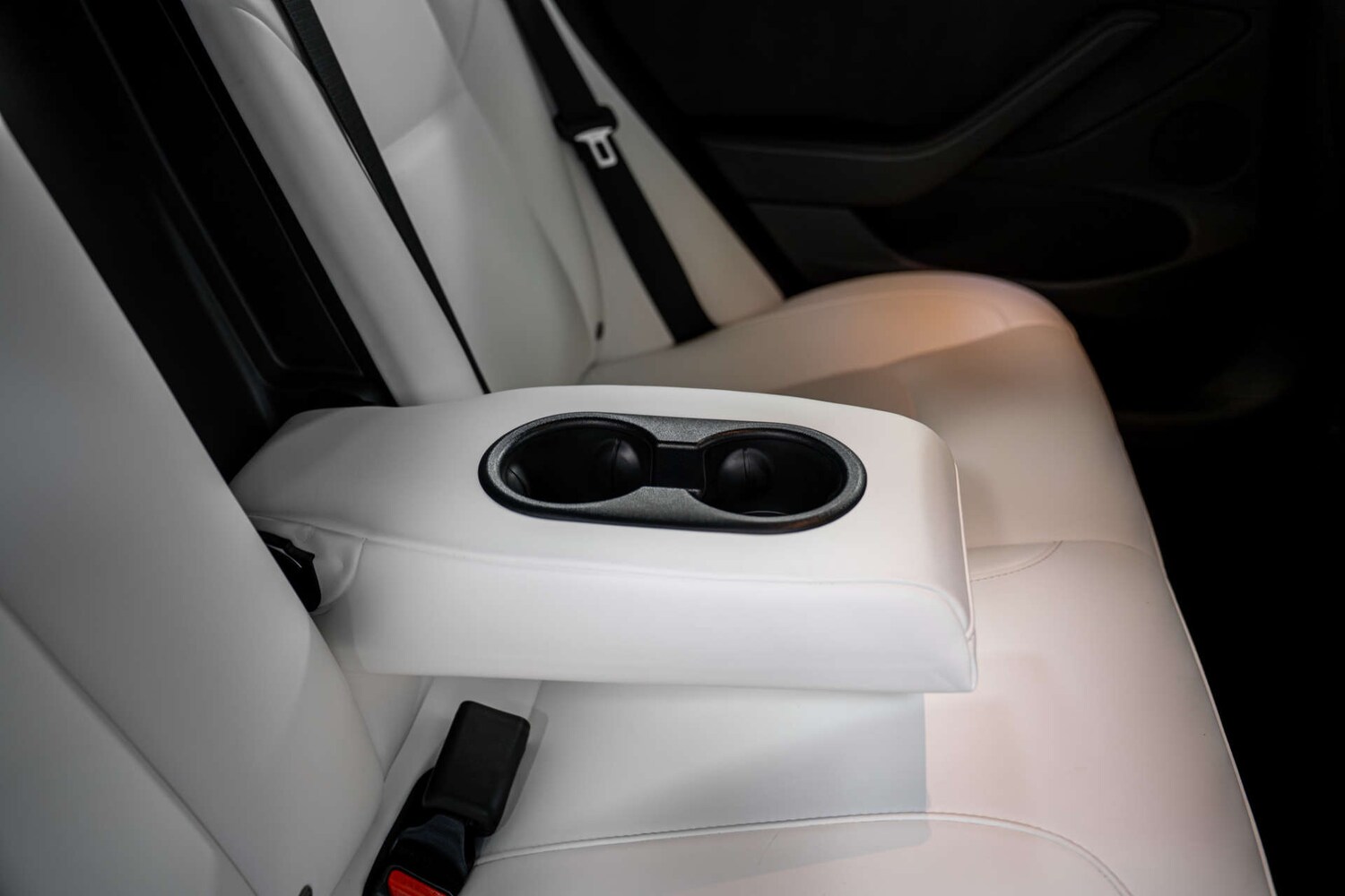 Used Tesla Model 3 2023 for sale - 77406676: Photo 20