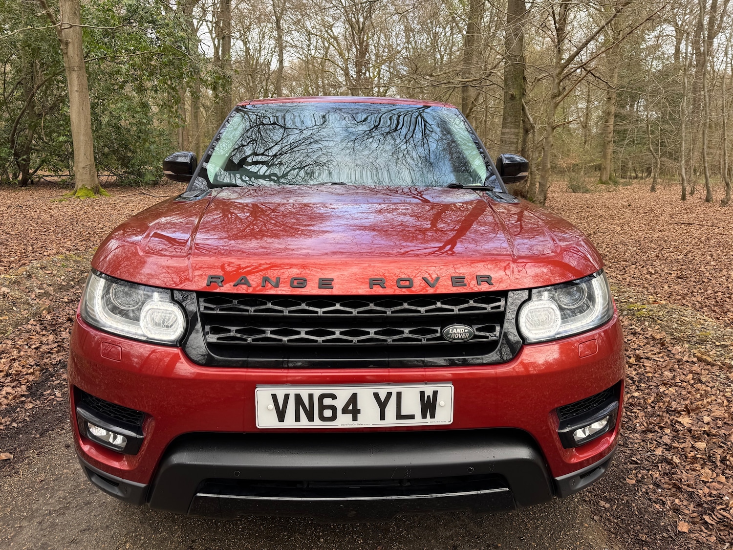 Used Land Rover Range Rover Sport 2014 for sale - 77648263: Photo 10