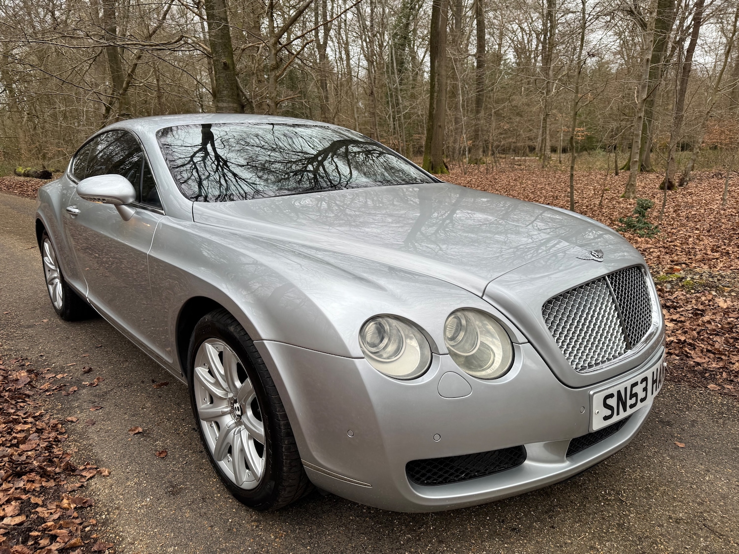 Used Bentley Continental 2004 for sale - 77966579: Photo 1