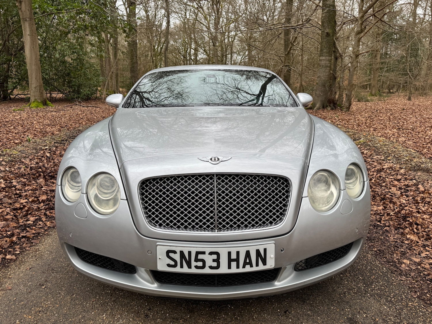 Used Bentley Continental 2004 for sale - 77966579: Photo 10