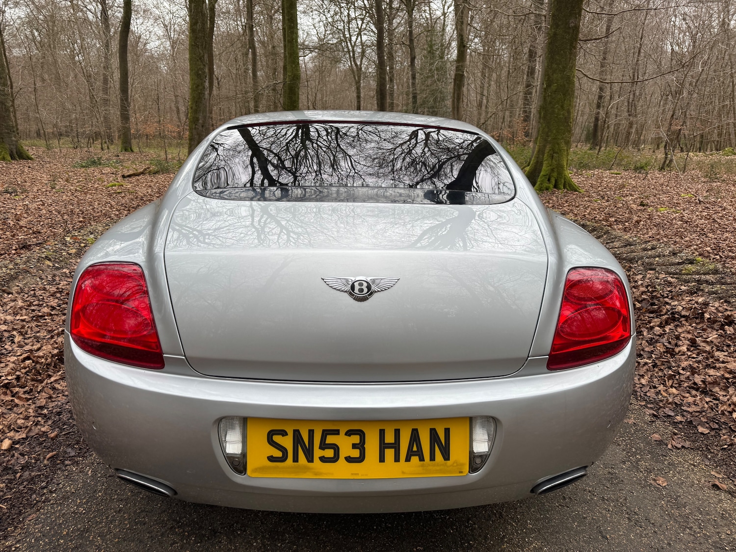 Used Bentley Continental 2004 for sale - 77966579: Photo 11