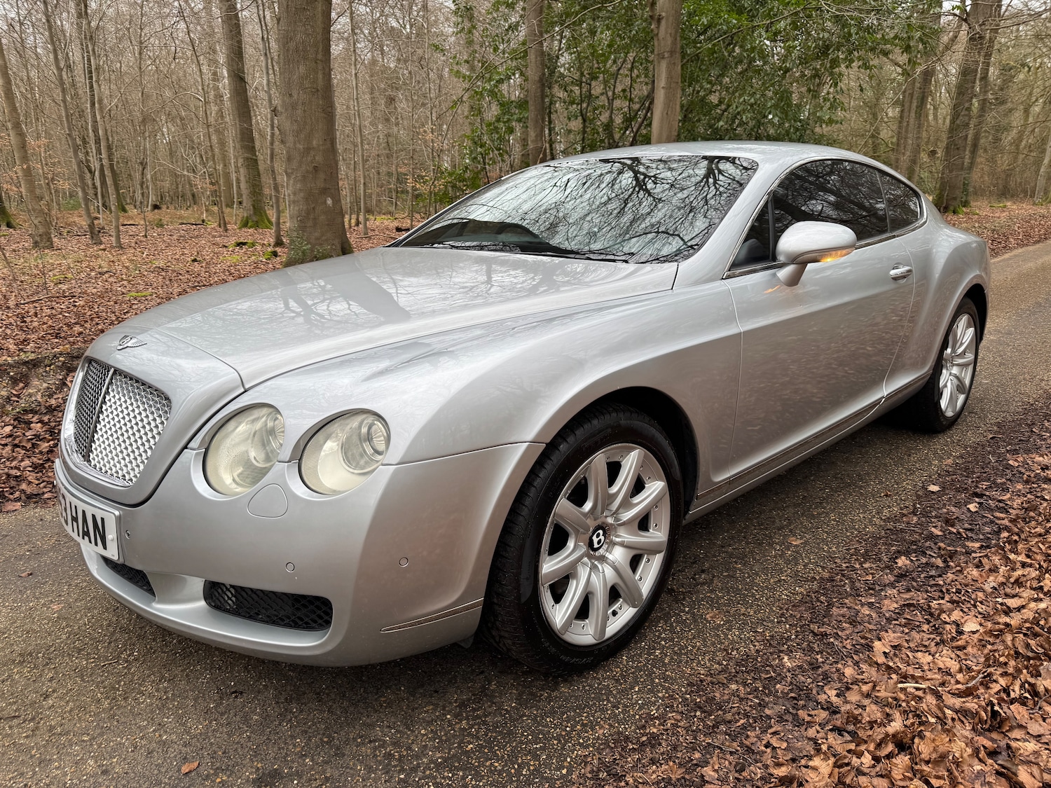 Used Bentley Continental 2004 for sale - 77966579: Photo 13