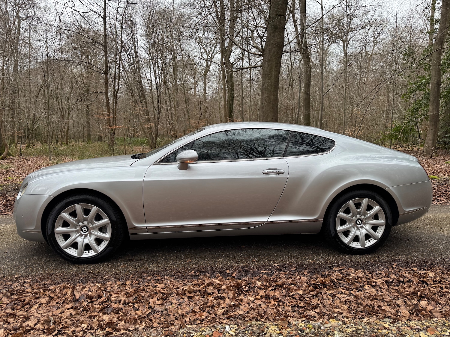 Used Bentley Continental 2004 for sale - 77966579: Photo 14