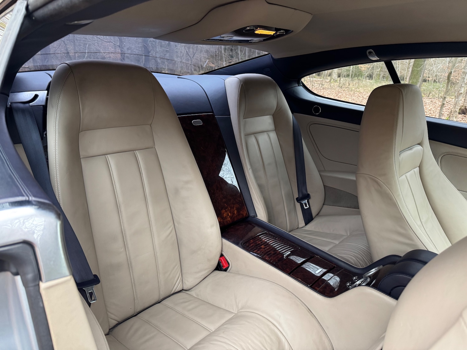 Used Bentley Continental 2004 for sale - 77966579: Photo 7