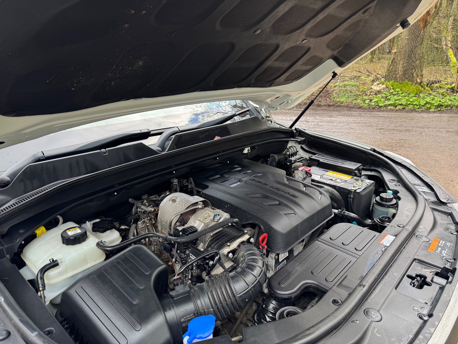 Used Ssangyong Musso 2023 for sale - 77262897: Photo 26