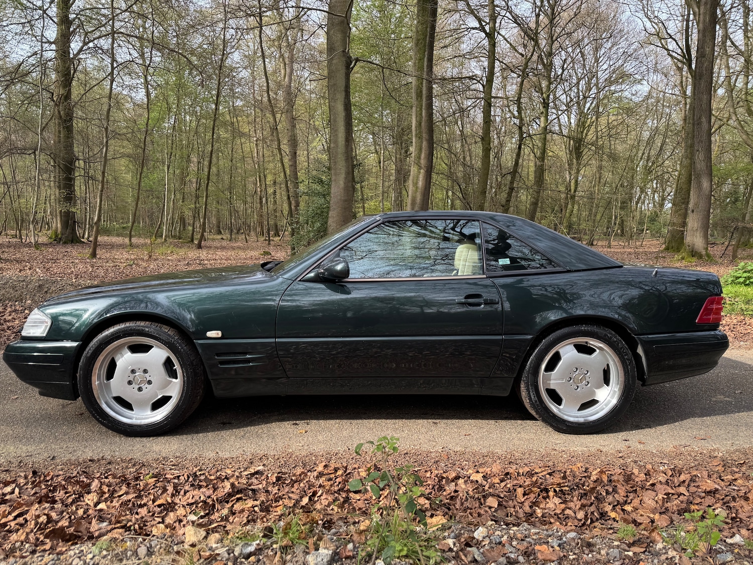 Used Mercedes-Benz S Class 2001 for sale - 78201554: Photo 13