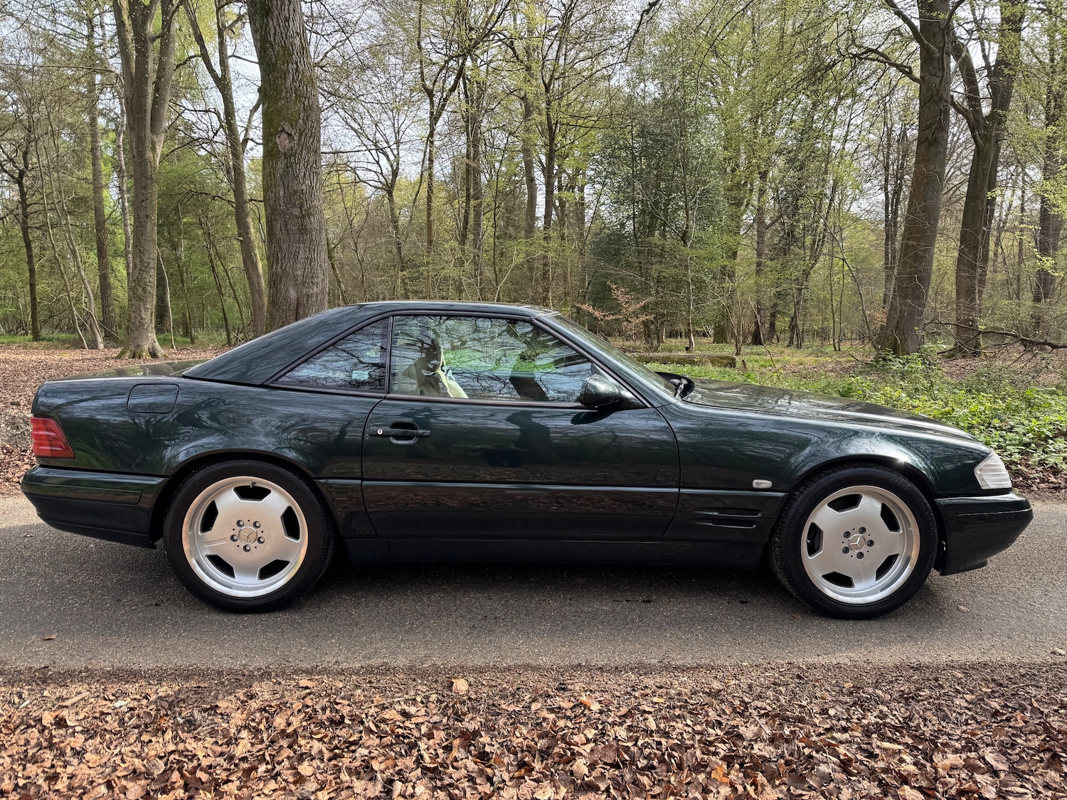 Used Mercedes-Benz S Class 2001 for sale - 78201554: Photo 3