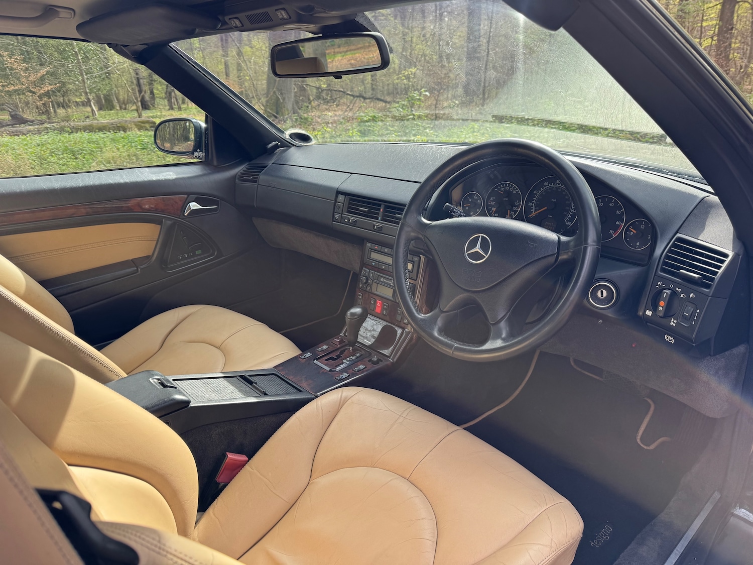 Used Mercedes-Benz S Class 2001 for sale - 78201554: Photo 6