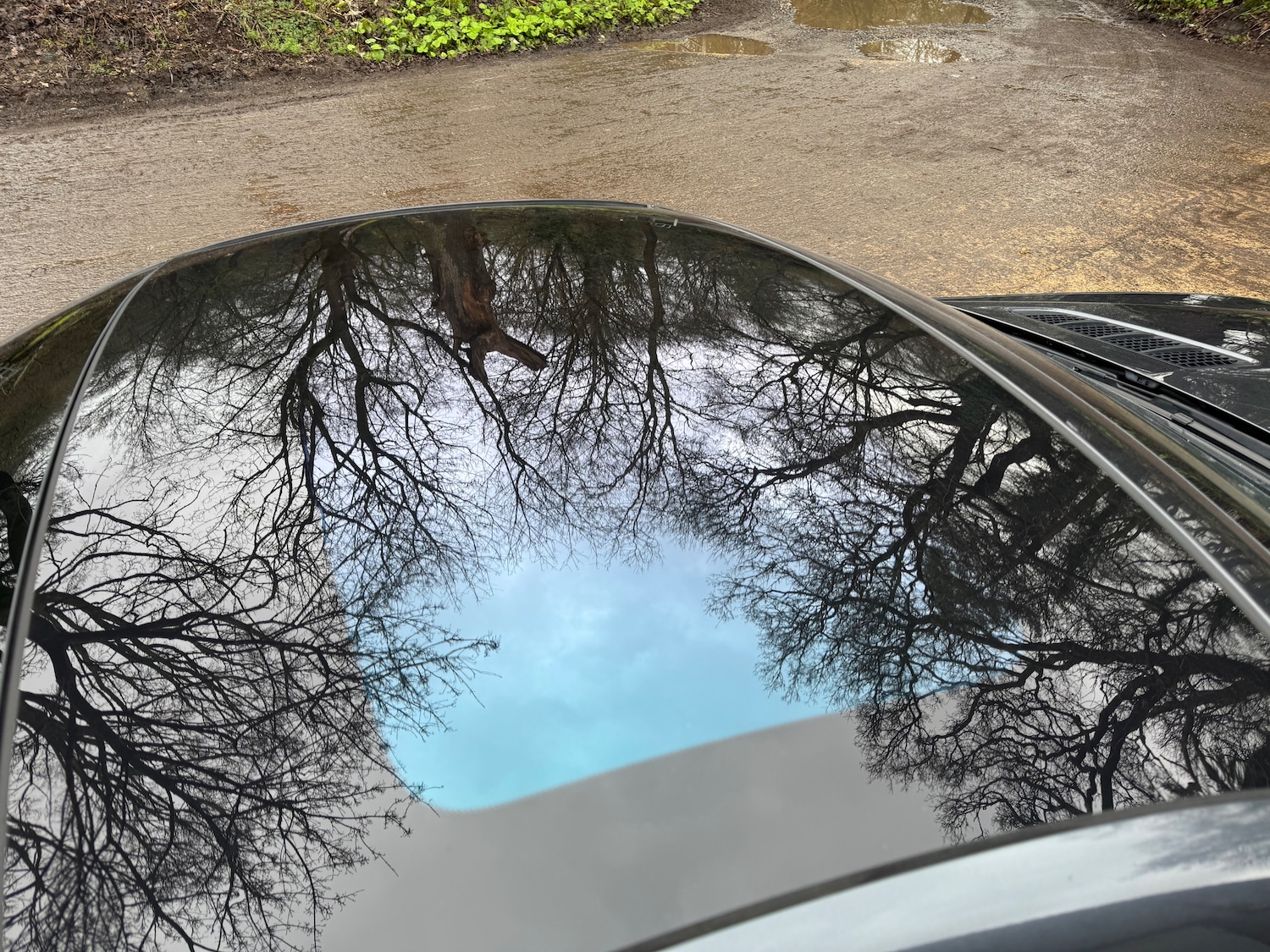 Used Mercedes-Benz SLK 2014 for sale - 77493799: Photo 13