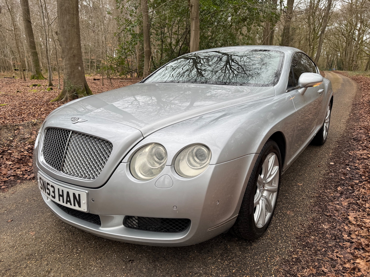 Used Bentley Continental 2004 for sale - 77648264: Photo 12