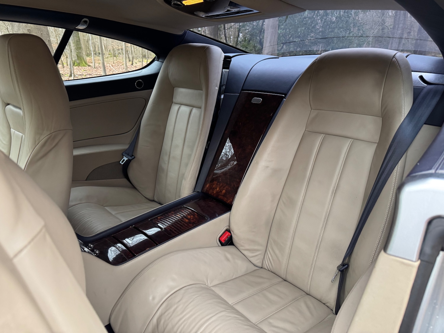 Used Bentley Continental 2004 for sale - 77648264: Photo 20