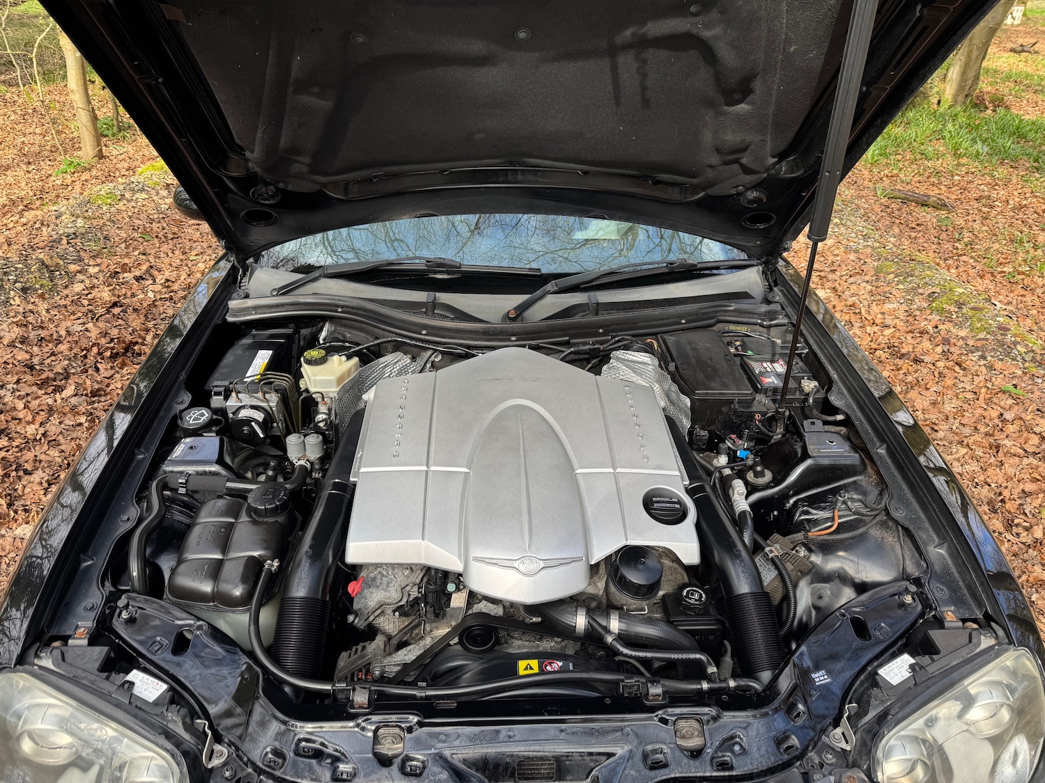 Used Chrysler Crossfire 2006 for sale - 77982998: Photo 25