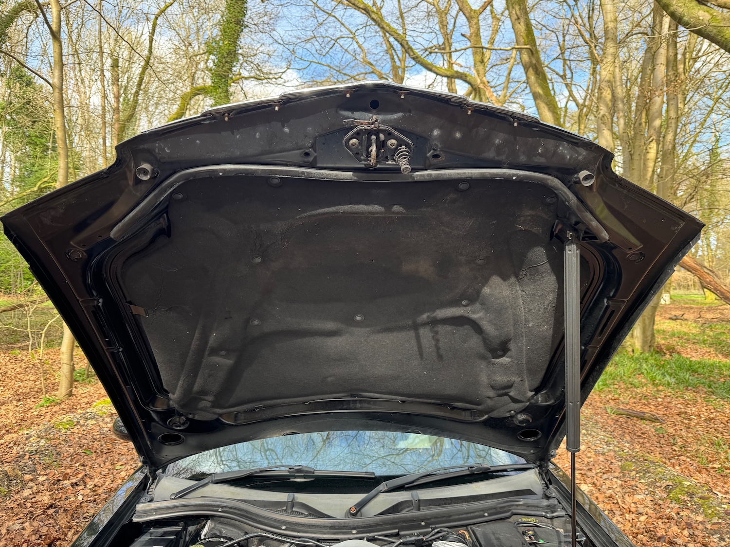 Used Chrysler Crossfire 2006 for sale - 77982998: Photo 26